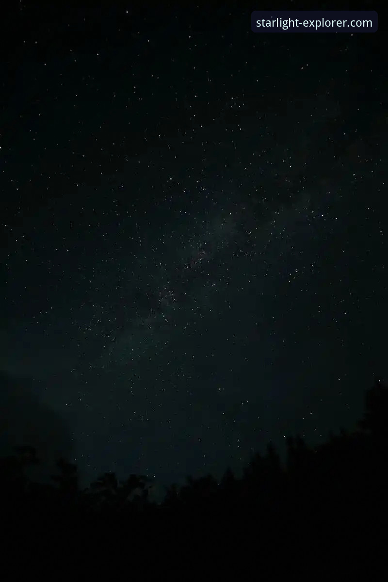 星空娱乐平台流星雨预报功能全面解析：精准度、体验与数据深度分析